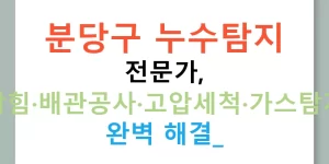 분당구 누수탐지 전문가, 하수구막힘·배관공사·고압세척·가스탐지기까지 완벽 해결!