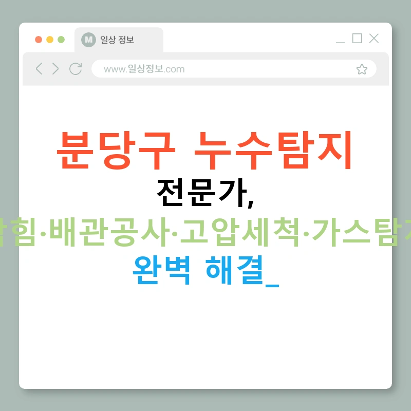 분당구 누수탐지 전문가, 하수구막힘·배관공사·고압세척·가스탐지기까지 완벽 해결!