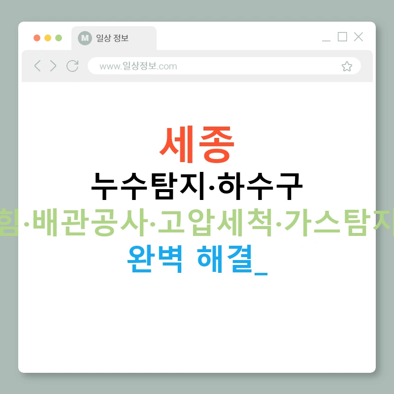 세종 누수탐지·하수구 막힘·배관공사·고압세척·가스탐지기 완벽 해결!