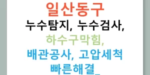 일산동구 누수탐지, 누수검사, 하수구막힘, 배관공사, 고압세척 빠른해결!