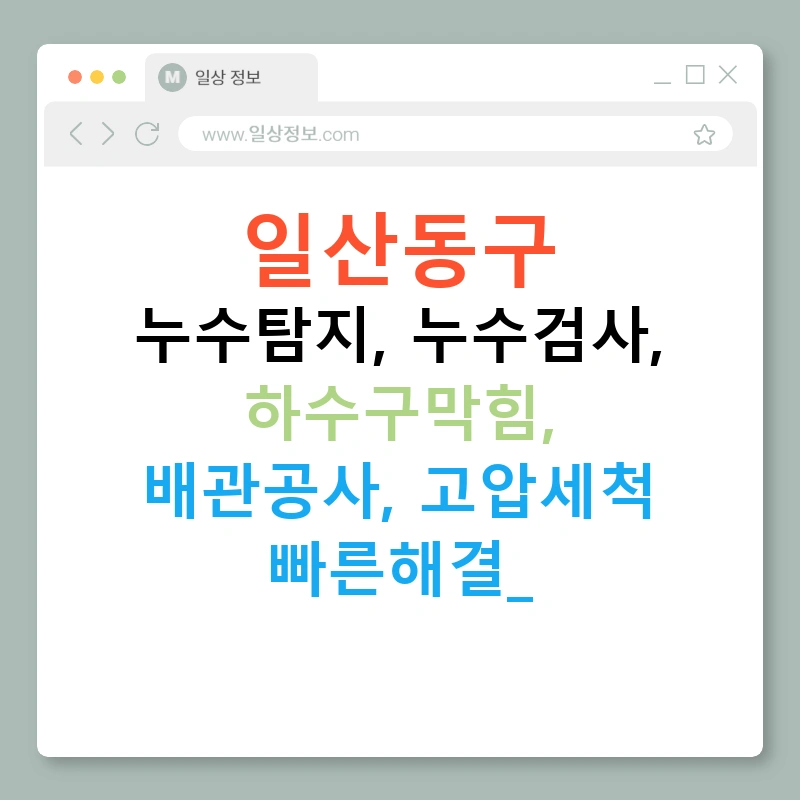 일산동구 누수탐지, 누수검사, 하수구막힘, 배관공사, 고압세척 빠른해결!
