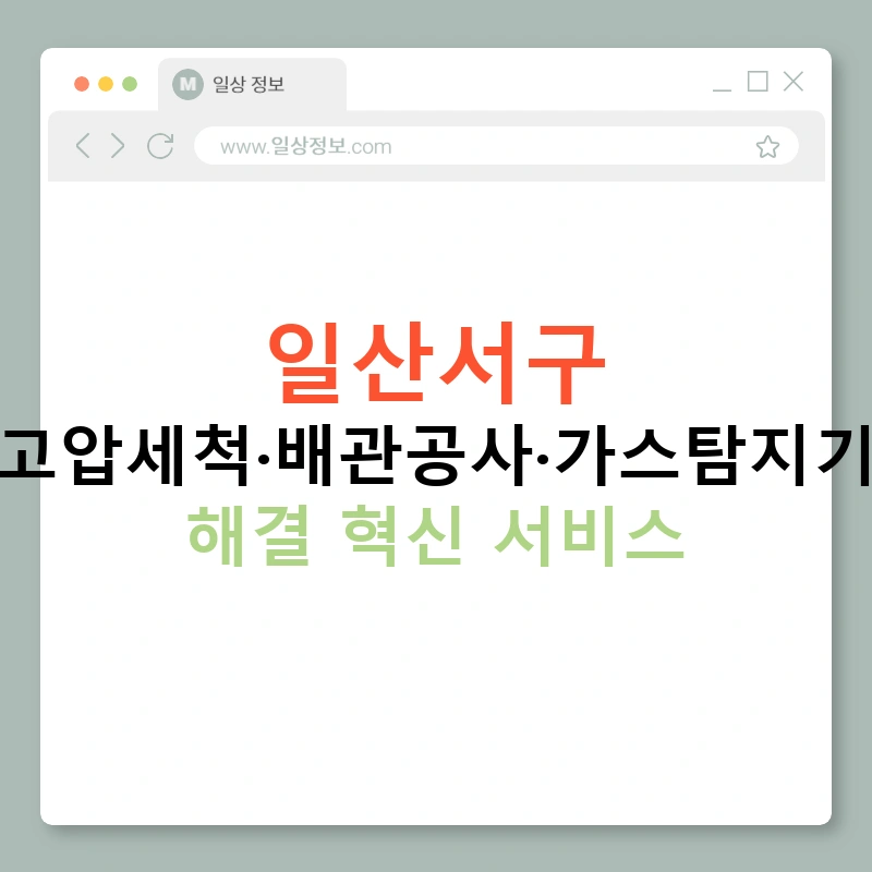 일산서구 누수탐지·고압세척·배관공사·가스탐지기·변기막힘 해결 혁신 서비스