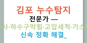 김포 누수탐지 전문가 — 배관공사·하수구막힘·고압세척·가스탐지기 신속 정확 해결!