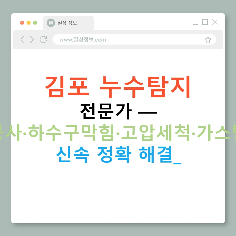 김포 누수탐지 전문가 — 배관공사·하수구막힘·고압세척·가스탐지기 신속 정확 해결!