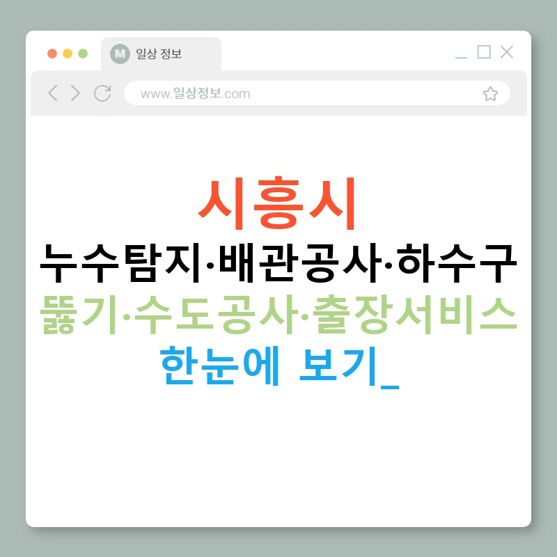 시흥시 누수탐지·배관공사·하수구 뚫기·수도공사·출장서비스 한눈에 보기!