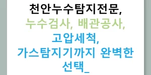 천안누수탐지전문, 누수검사, 배관공사, 고압세척, 가스탐지기까지 완벽한 선택!