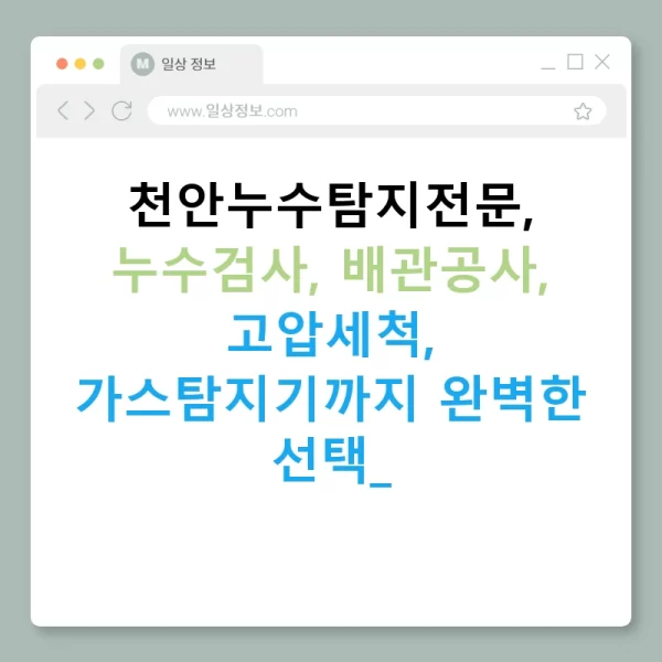 천안누수탐지전문, 누수검사, 배관공사, 고압세척, 가스탐지기까지 완벽한 선택!