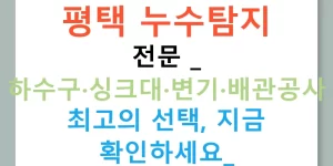 평택 누수탐지 전문 - 하수구·싱크대·변기·배관공사 최고의 선택, 지금 확인하세요!
