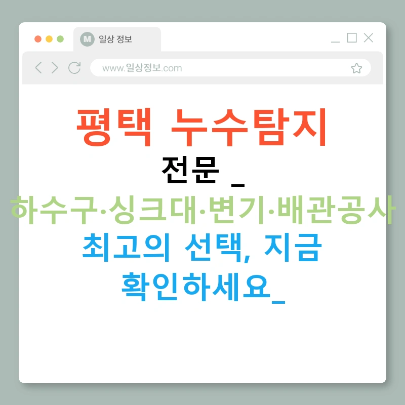 평택 누수탐지 전문 - 하수구·싱크대·변기·배관공사 최고의 선택, 지금 확인하세요!